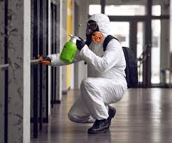 Why You Should Choose Our Mold Remediation Services in Clayton, AL